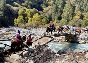 Horse riding in Bhutan